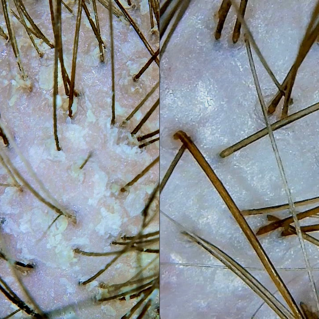 REJUVENATED ROOTS HEAD SPA's image