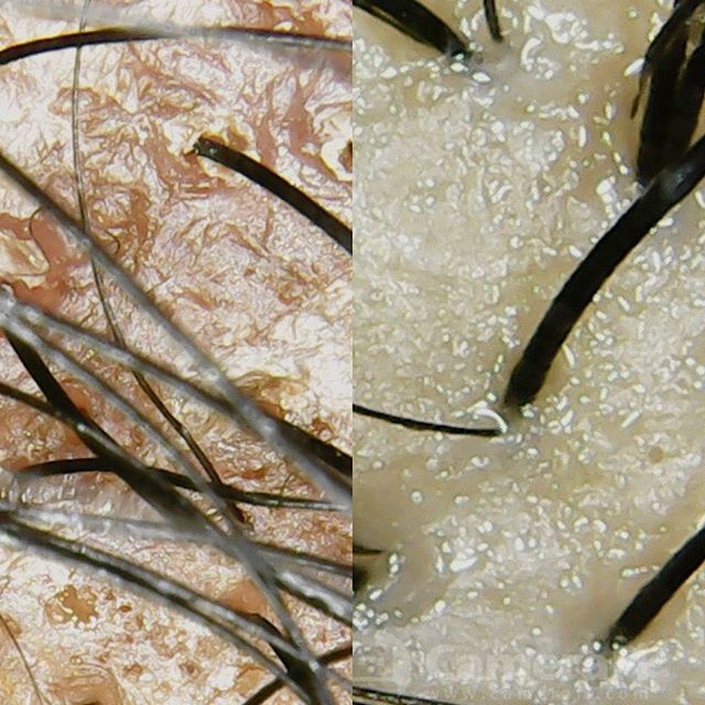 REJUVENATED ROOTS HEAD SPA's image