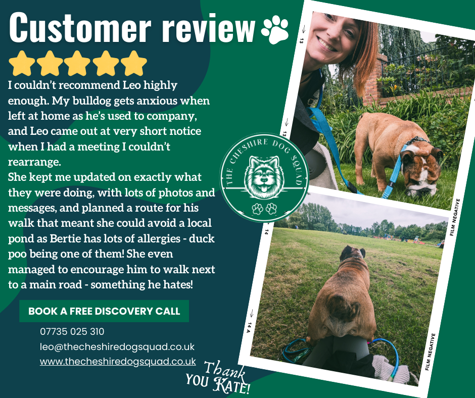 The Cheshire Dog Squad's image