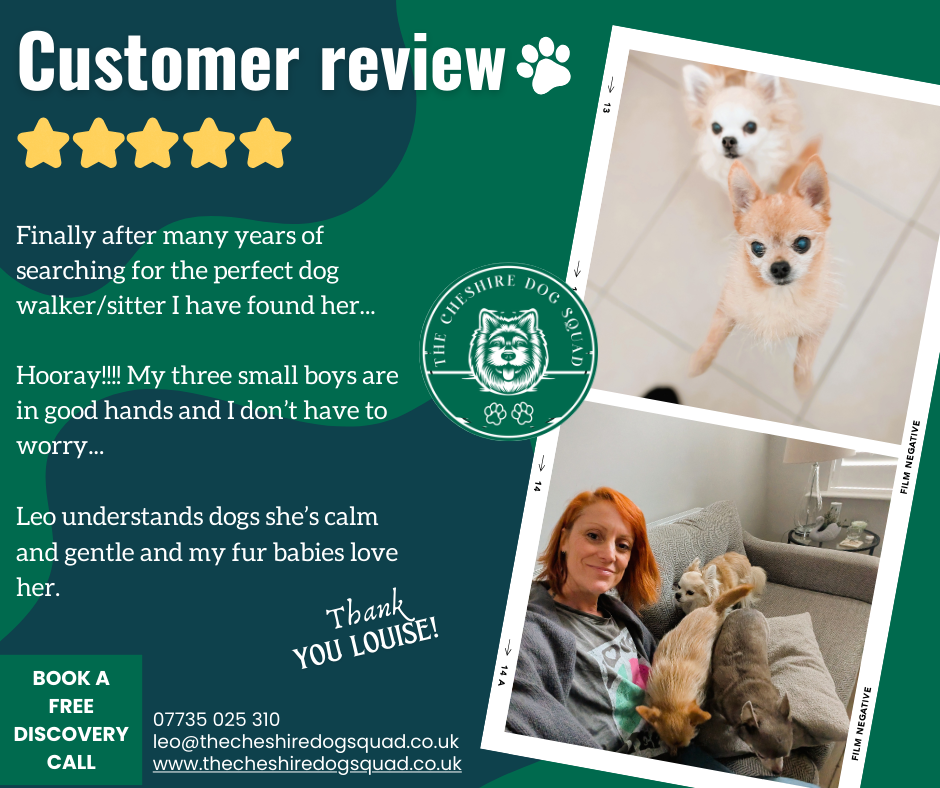 The Cheshire Dog Squad's image