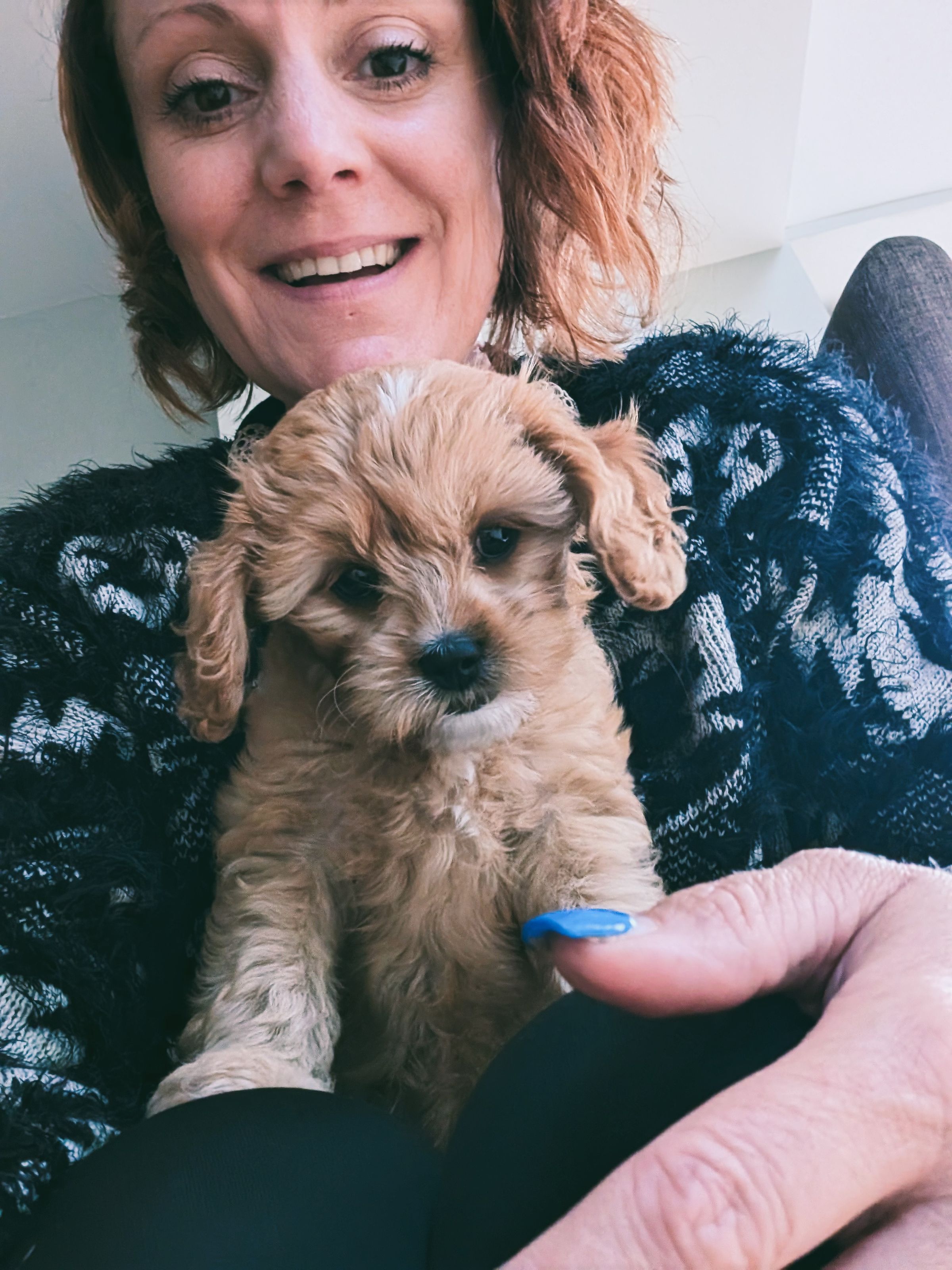 Puppy training Appleton Thorn