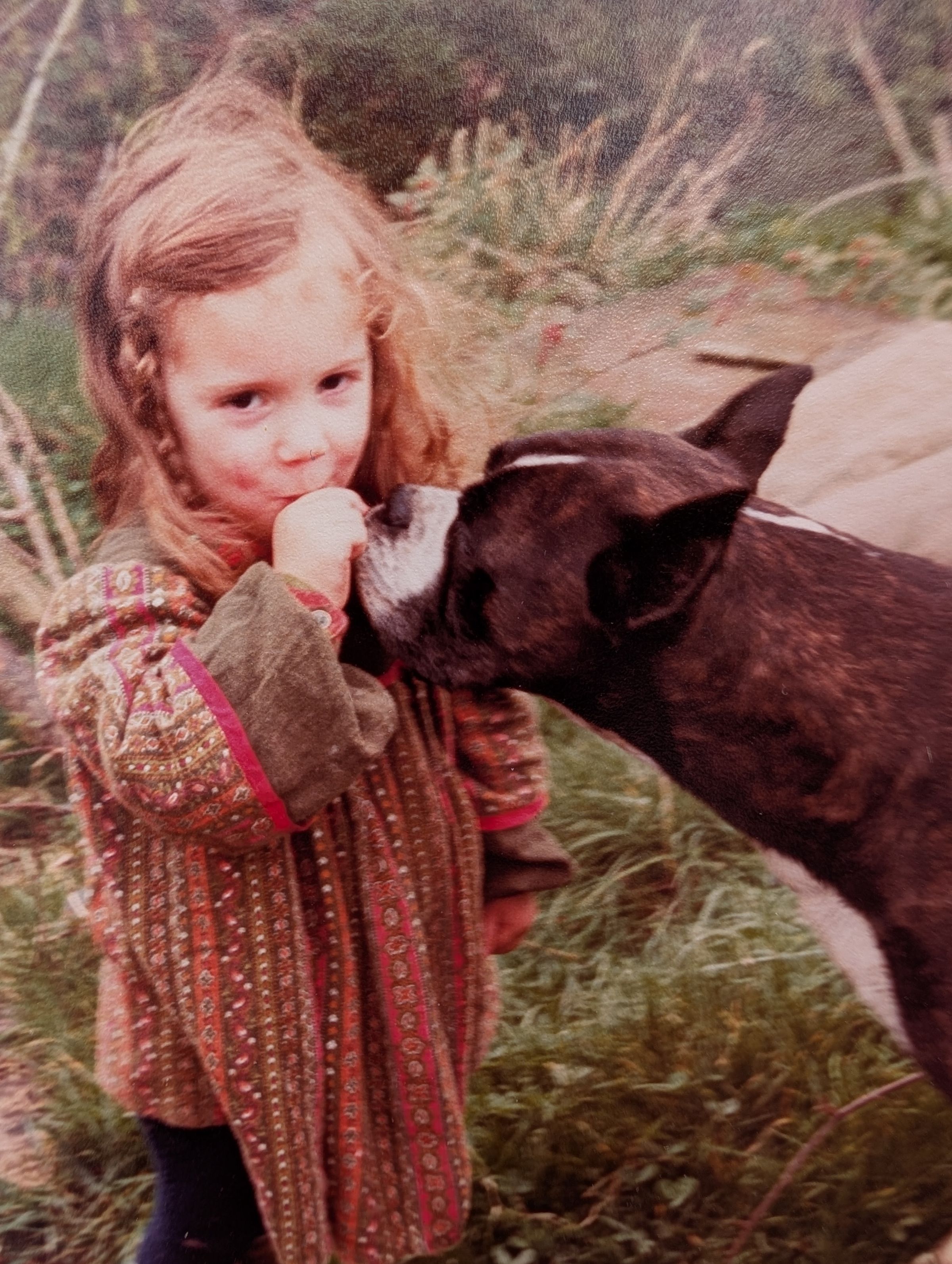 Compassionate dog training for a calm & connected life's image