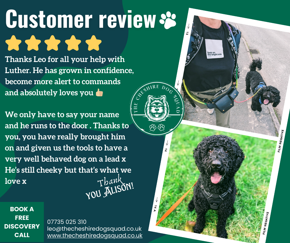 The Cheshire Dog Squad's image