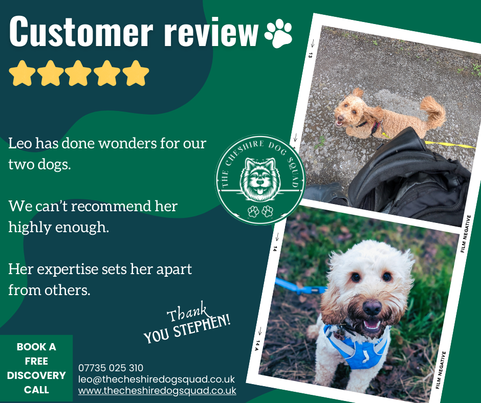 The Cheshire Dog Squad's image