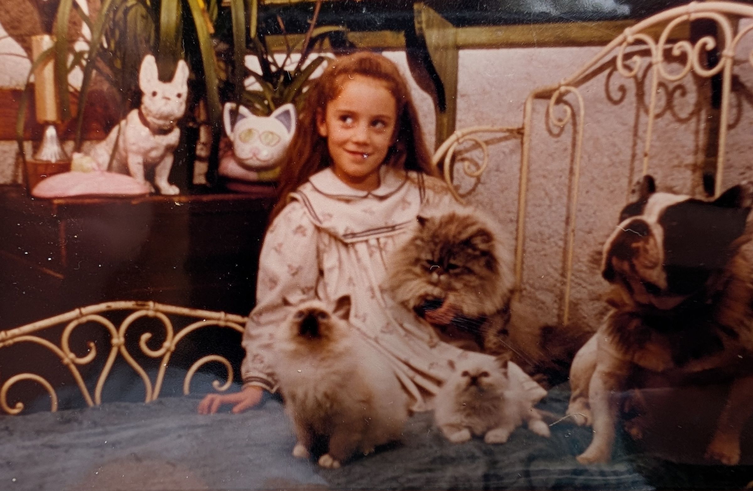 THE CHESHIRE DOG SQUAD's image