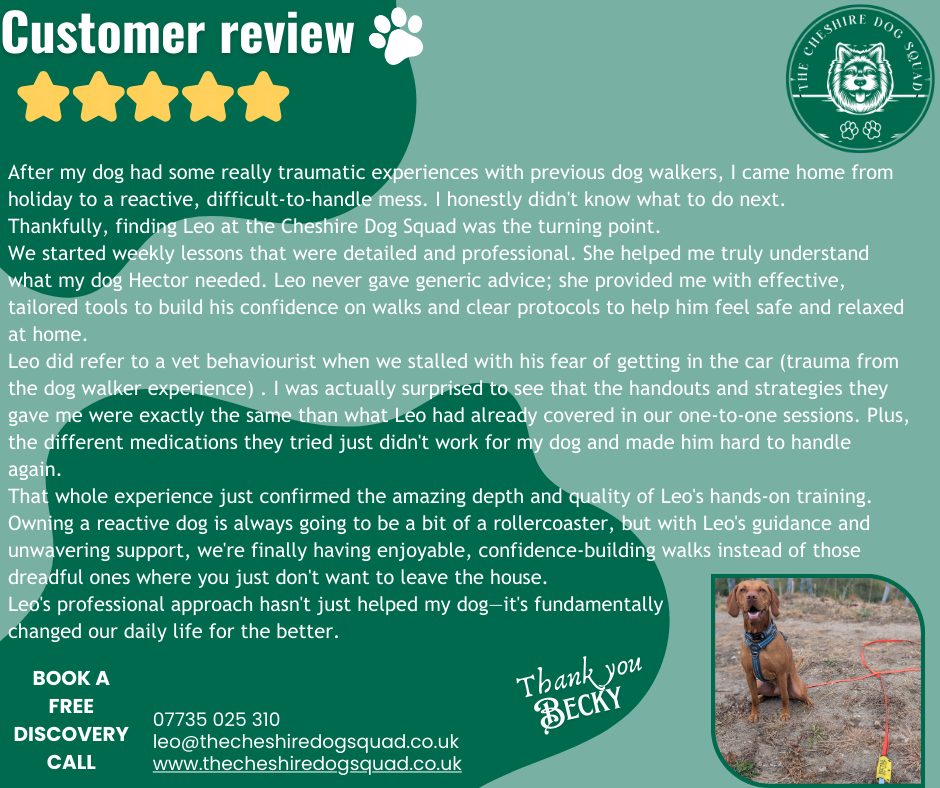 The Cheshire Dog Squad's image