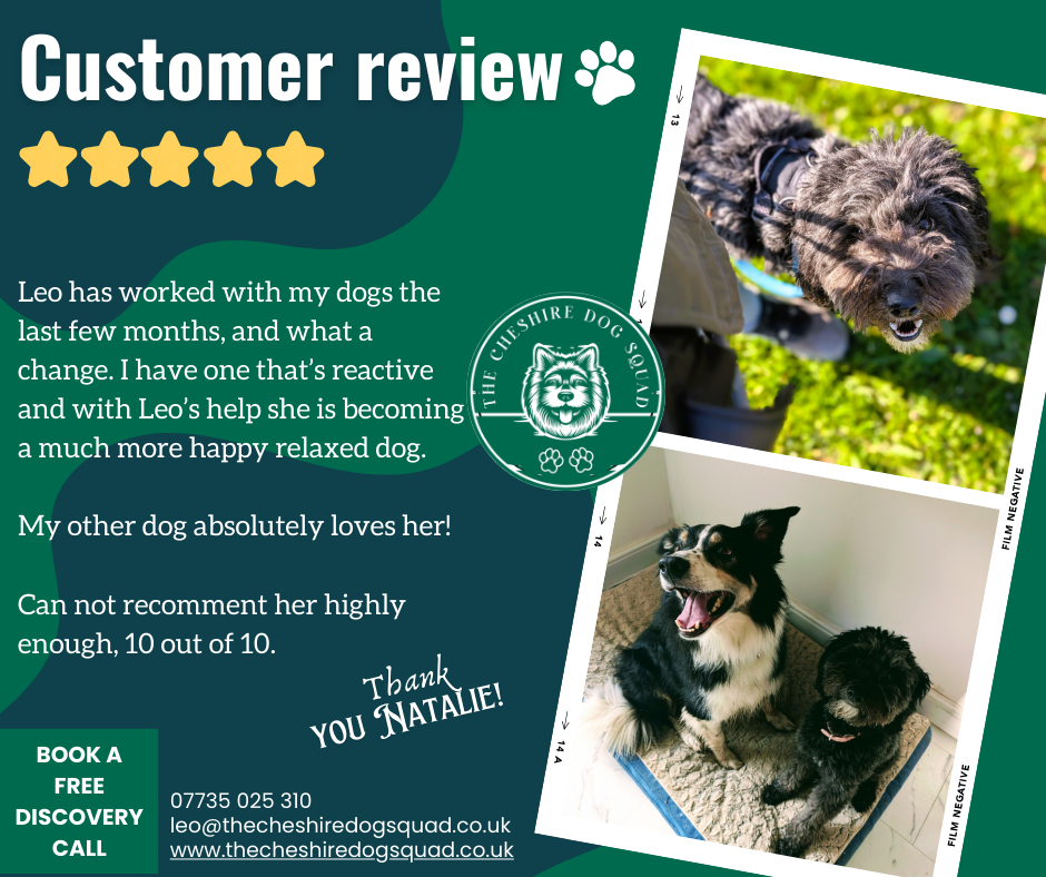 The Cheshire Dog Squad's image