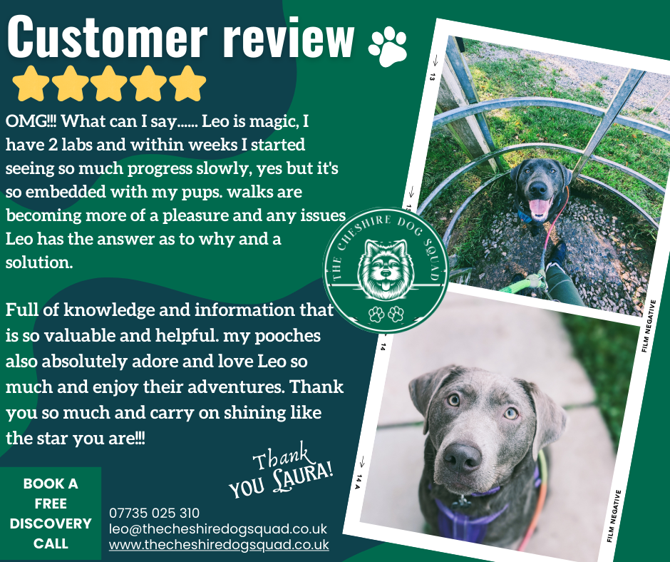 The Cheshire Dog Squad's image