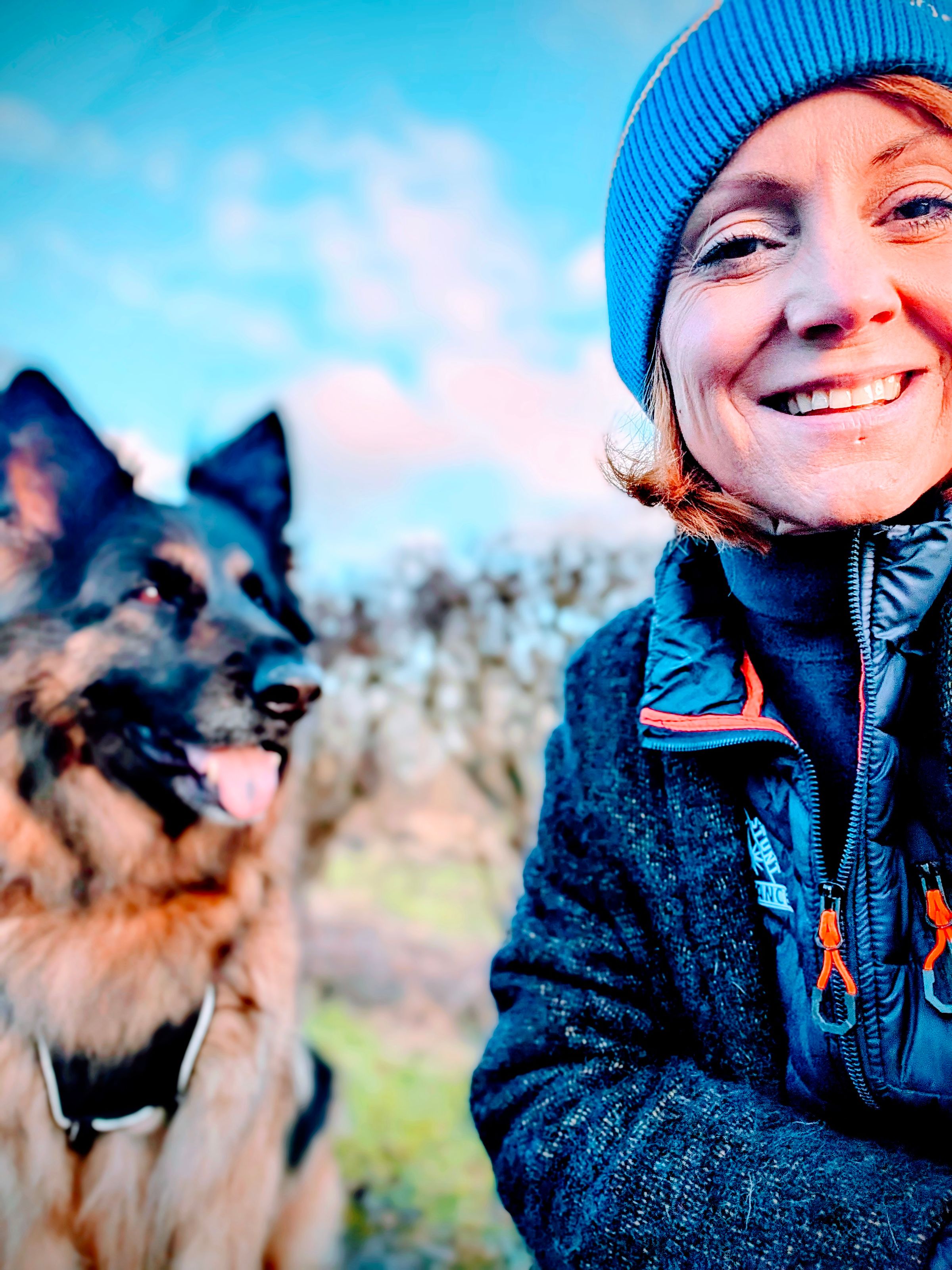 Reactive German Shephard Antrobus