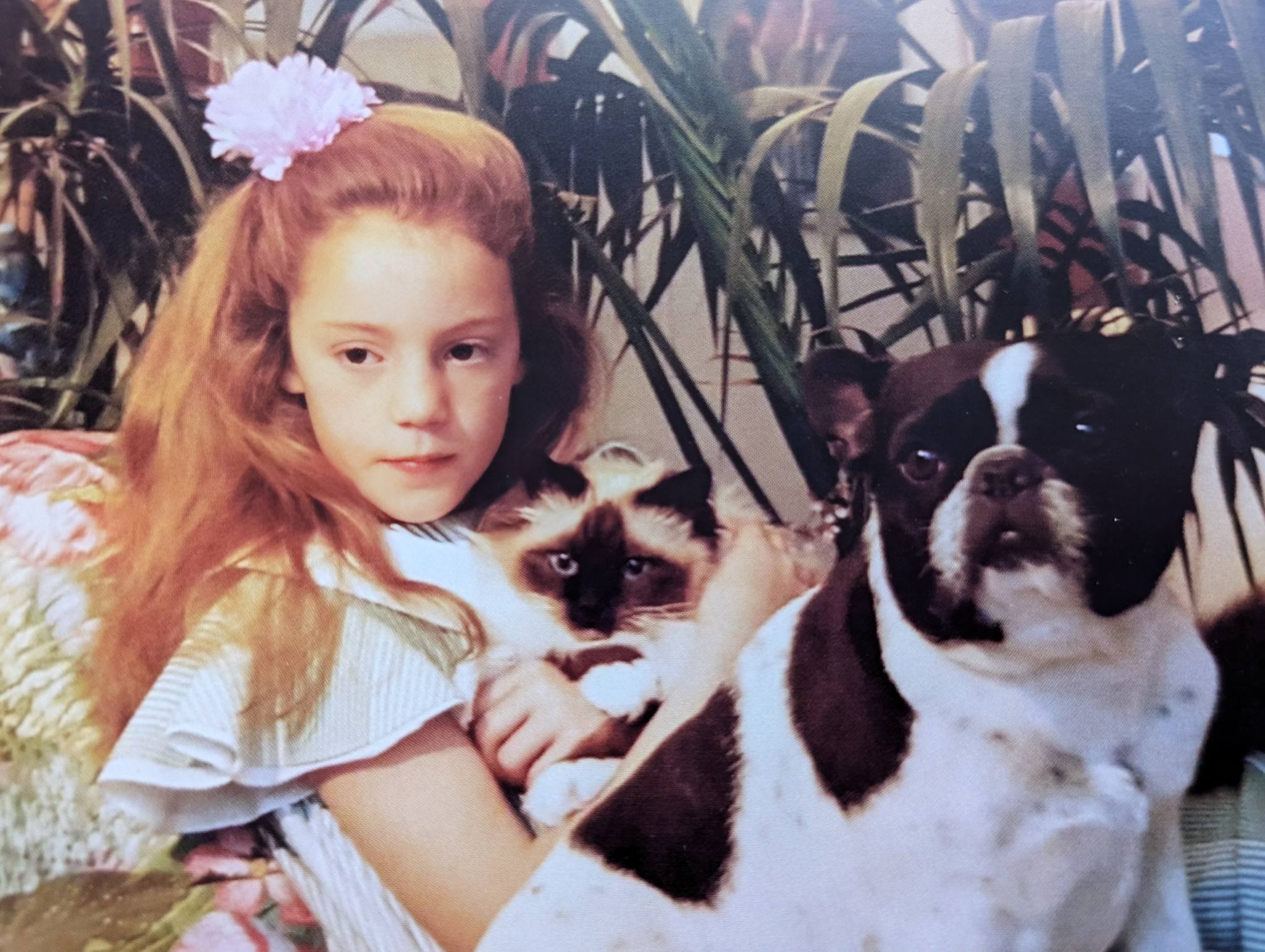 THE CHESHIRE DOG SQUAD's image