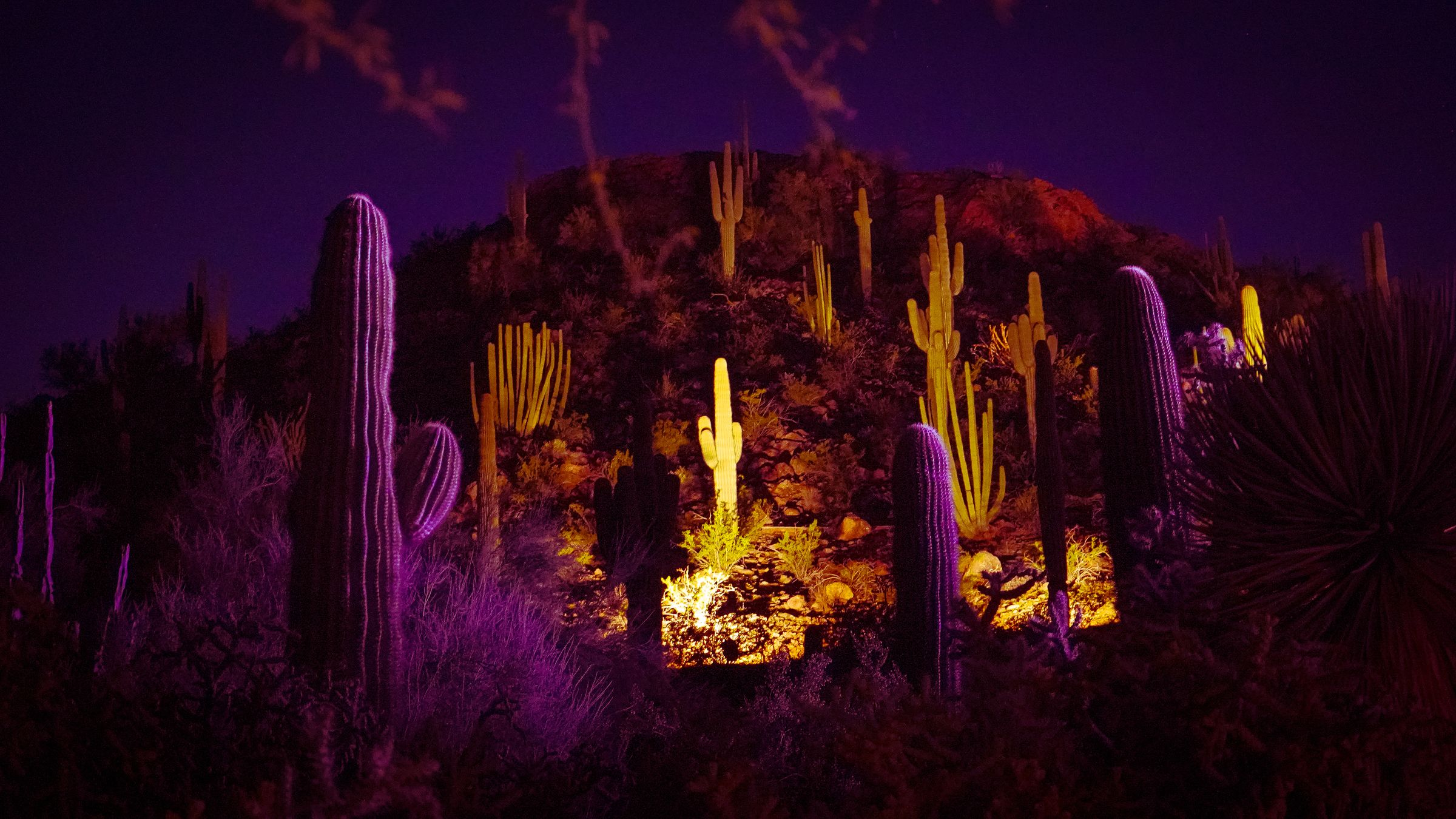 VINSON MEDIA's image