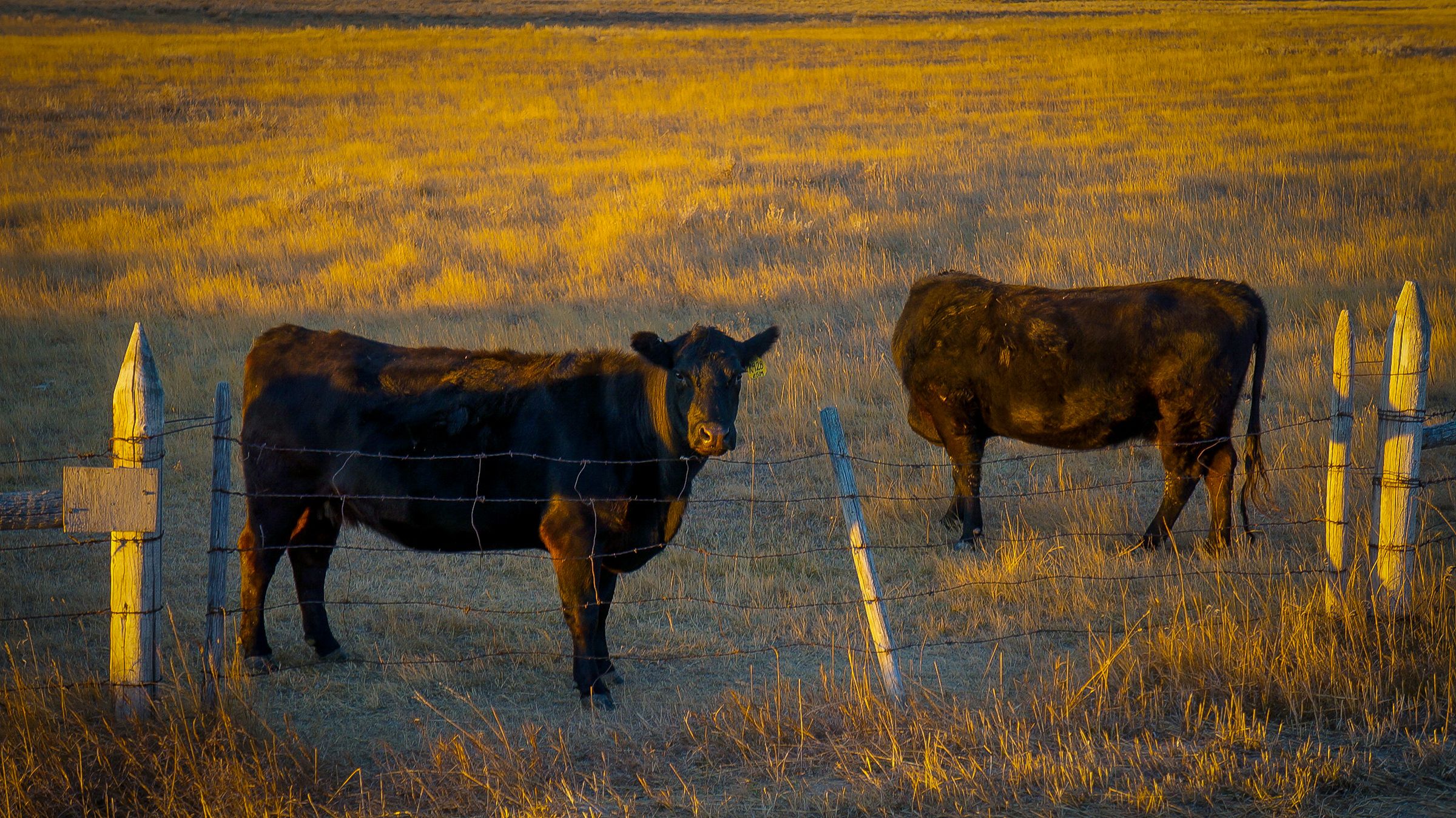 VINSON MEDIA's image