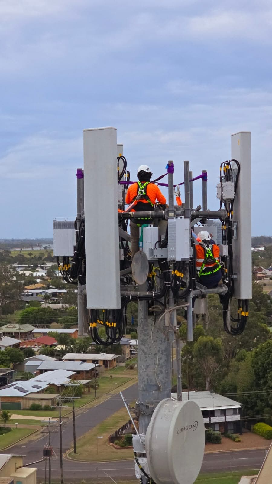 Primarynetcom.com.au's image