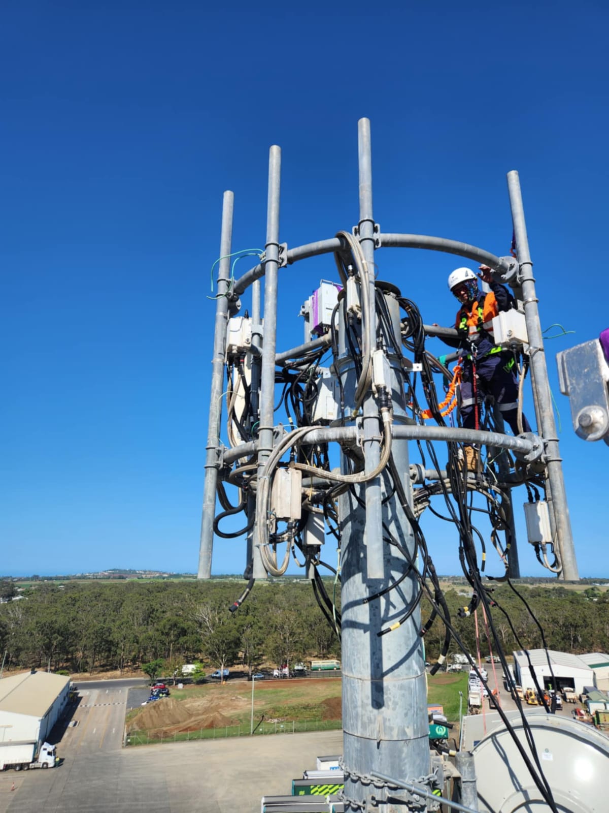 Primarynetcom.com.au's image