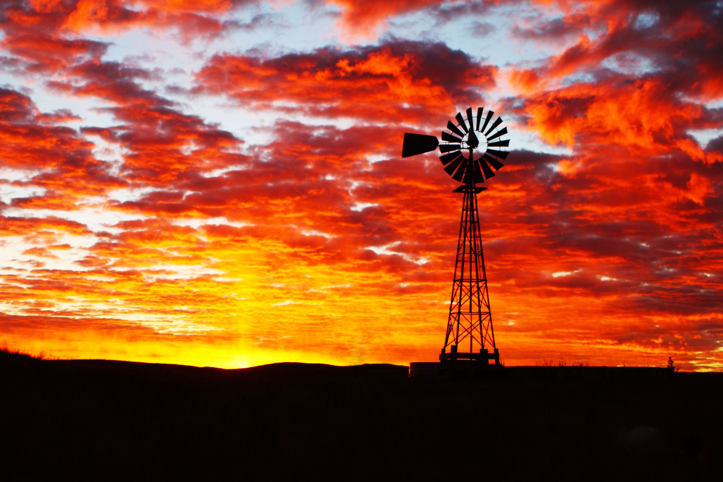 Clear Cache Consulting 's image