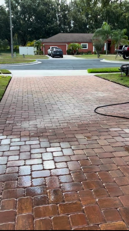 Reimagine your Backyard's image