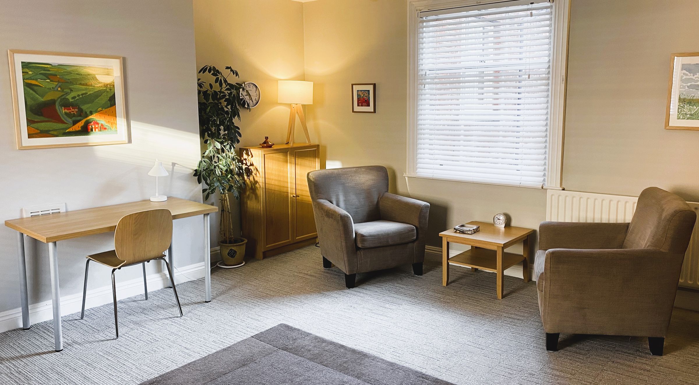 Room 3 - for individual and group sessions + desk