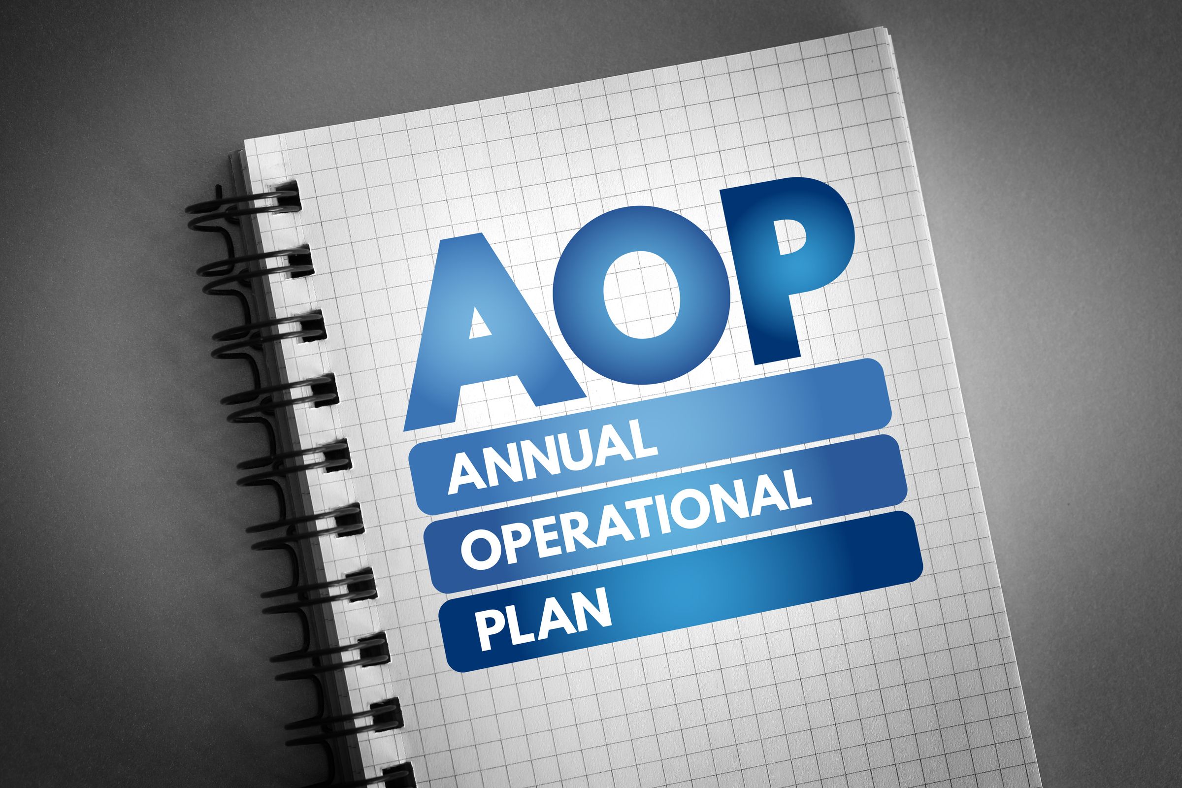 DP Augusta | Fractional CIO & Strategic Planning's image