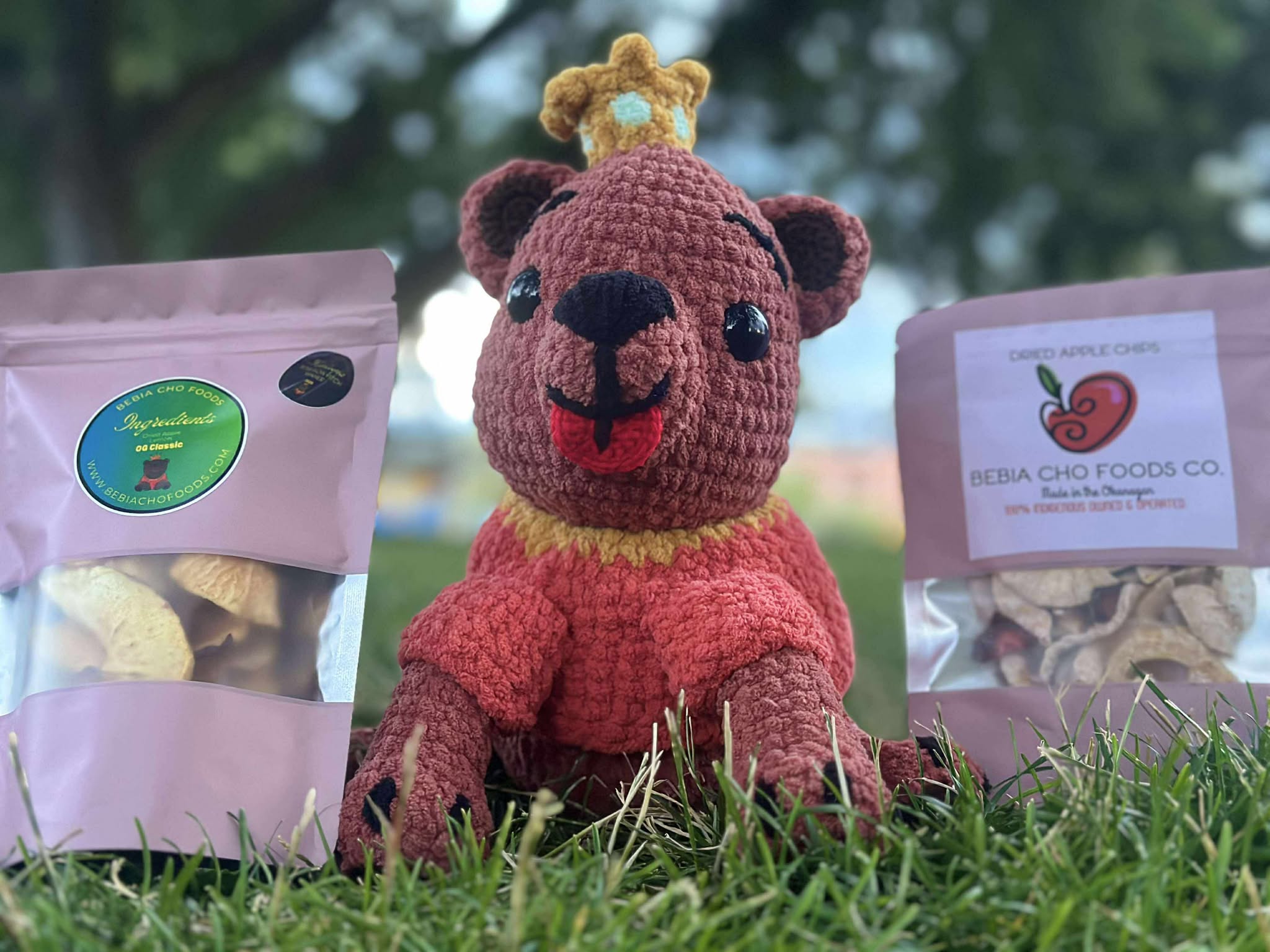 Bebia Cho foods co.'s image