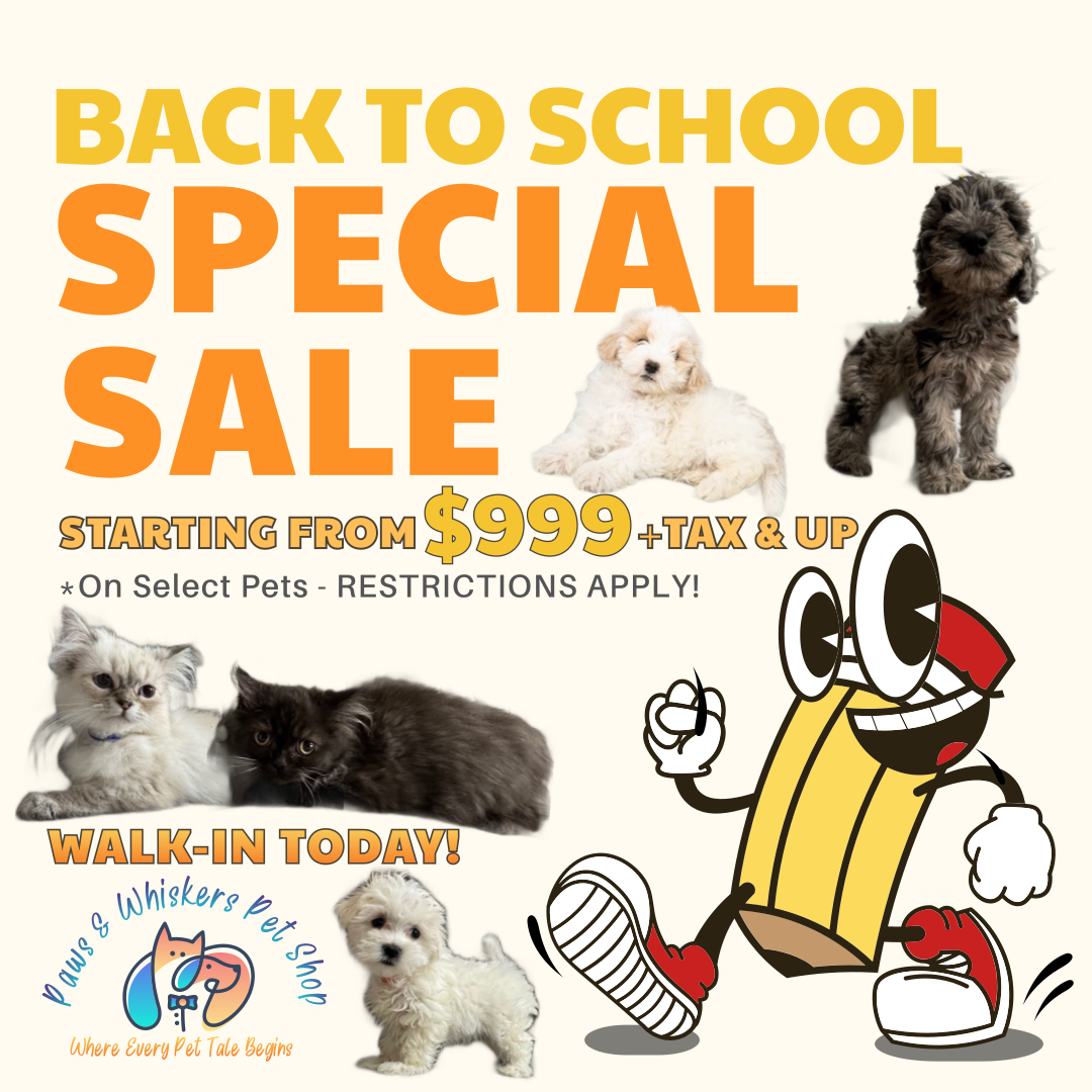 Back to School Sale Puppy & Kitten Sale