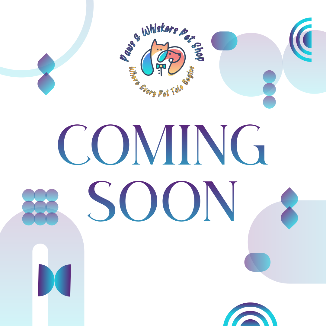 Puppy Store Puppies for Sale Paws & Whiskers Pet Shop