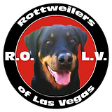 Puppy Store - Puppies for Sale - Paws & Whiskers Pet Shop's image