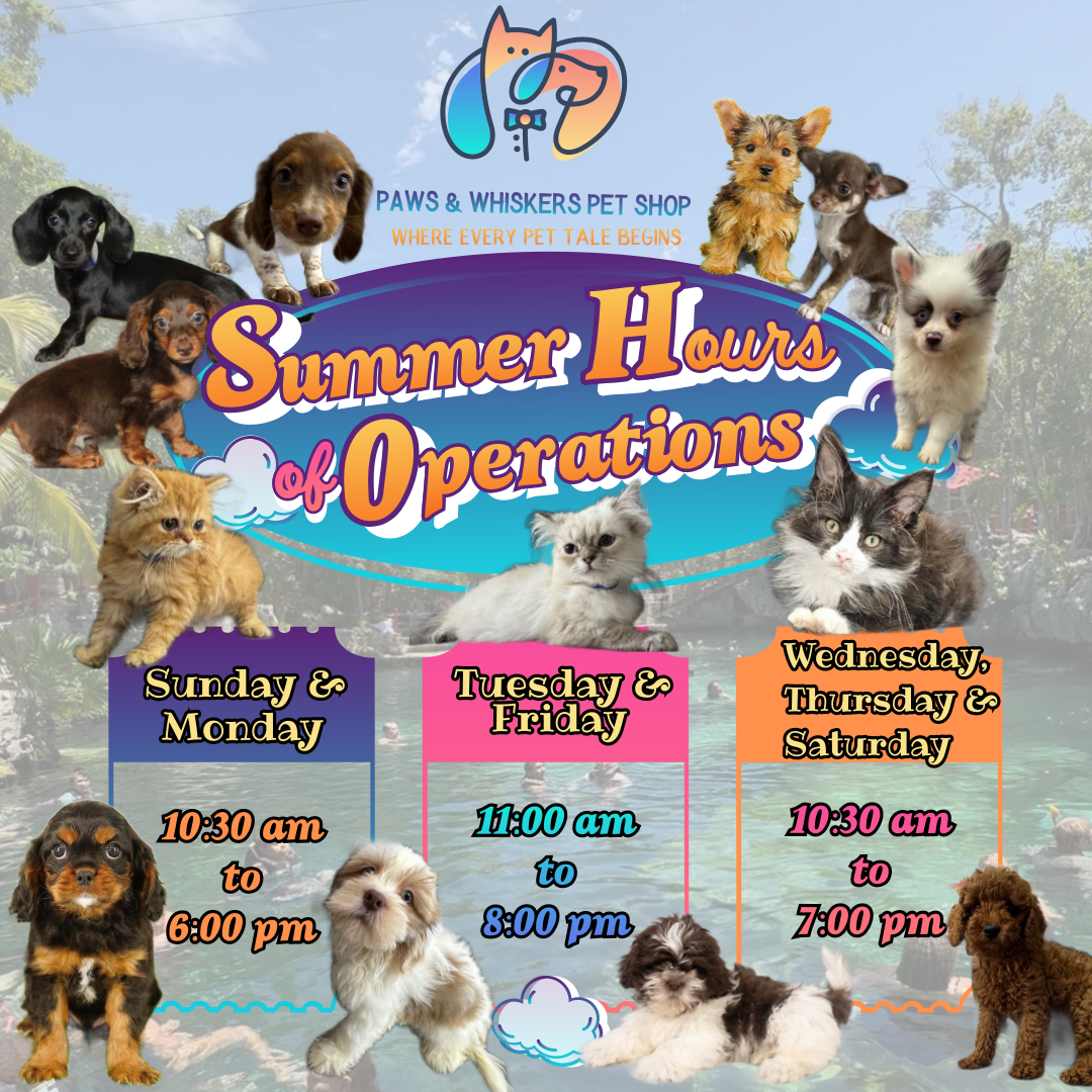 Summer Hours of Operations