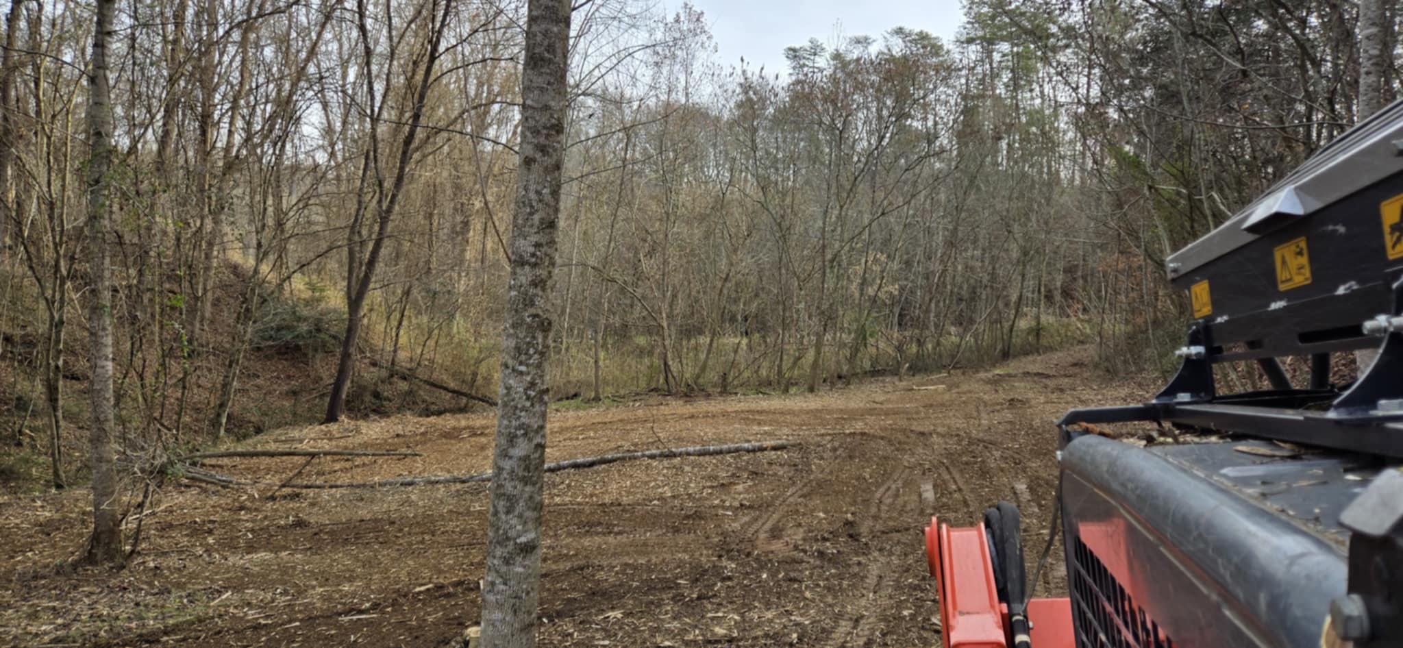 Clear Cut Land Management's image