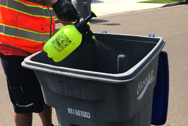 Bin Brite's image