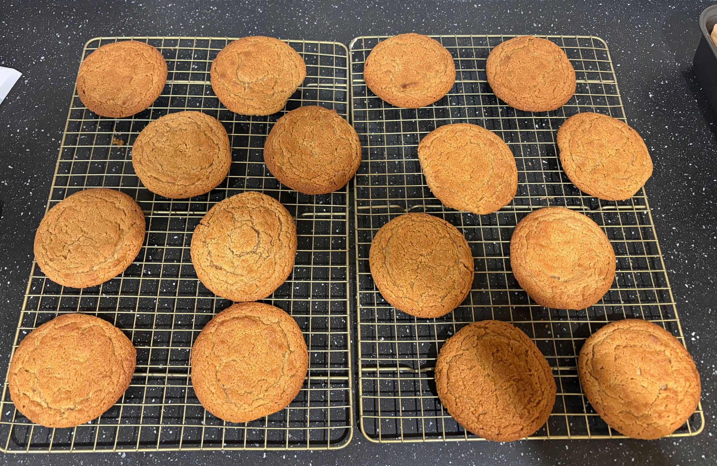 Peanut butter cookie