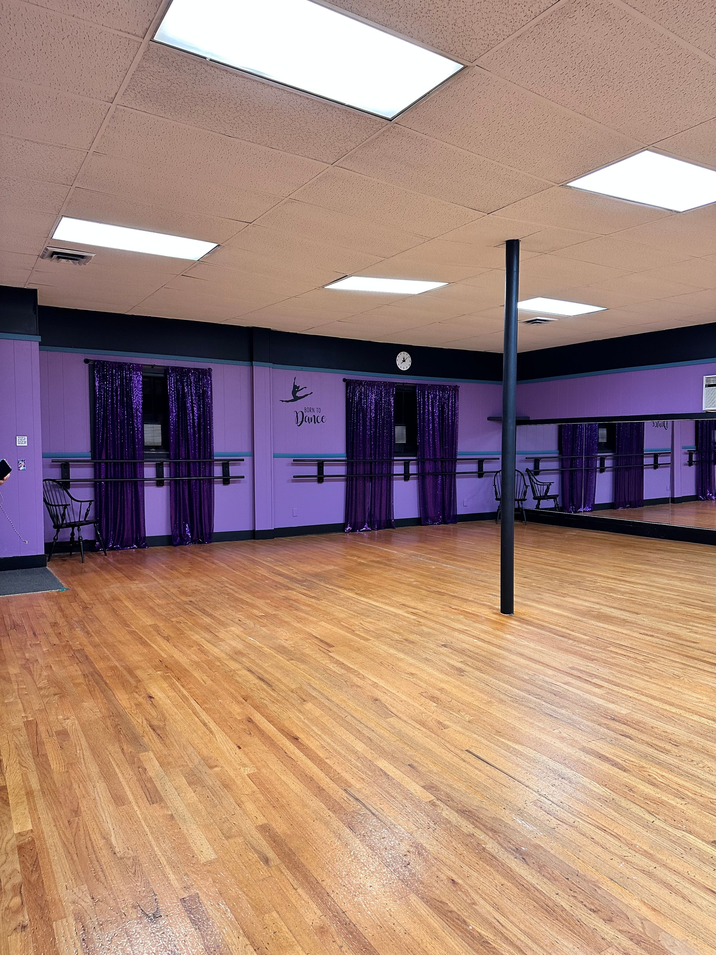 Destined To Dance Academy, LLC's image