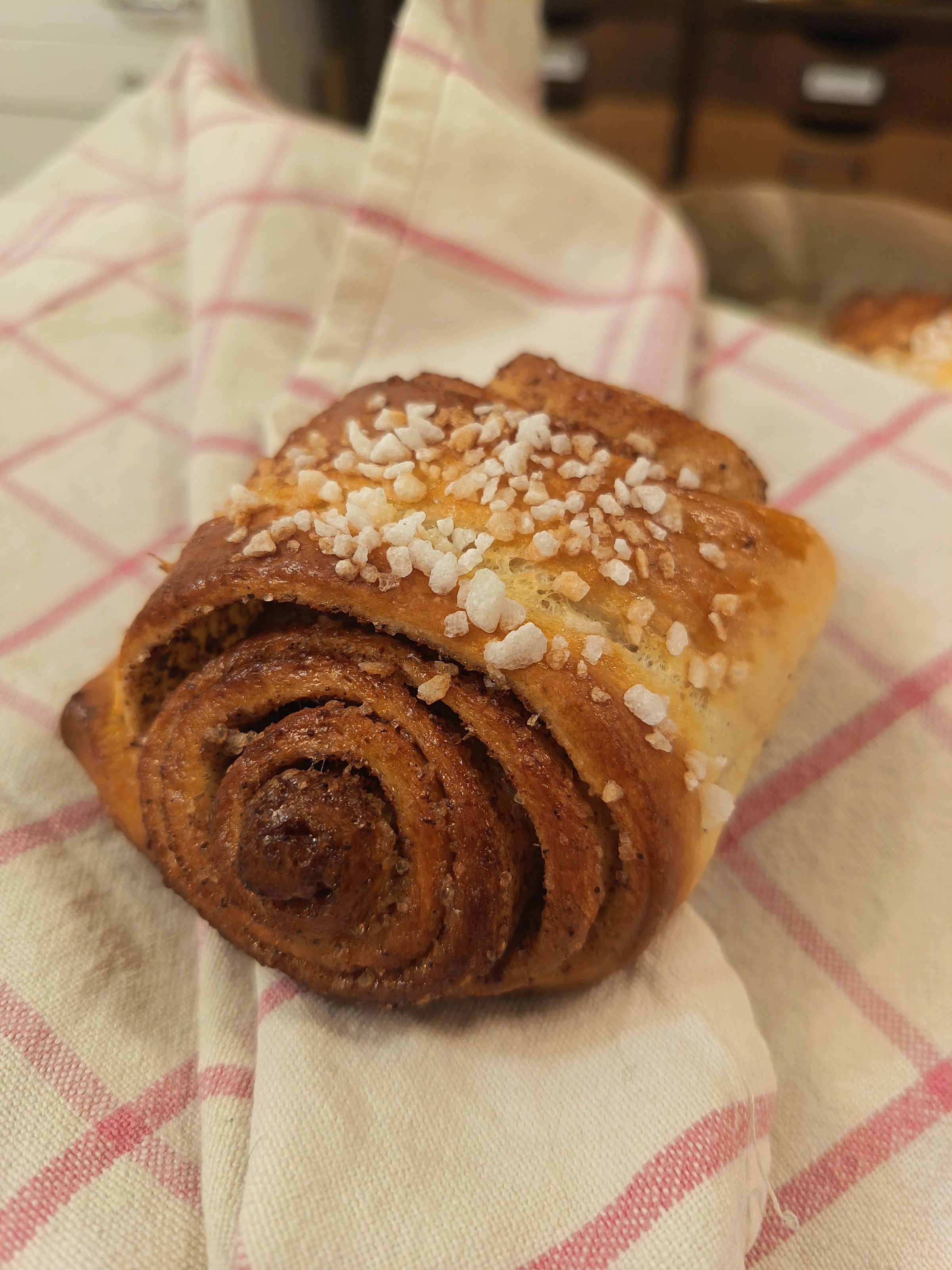 Papu & Pruuvi's image