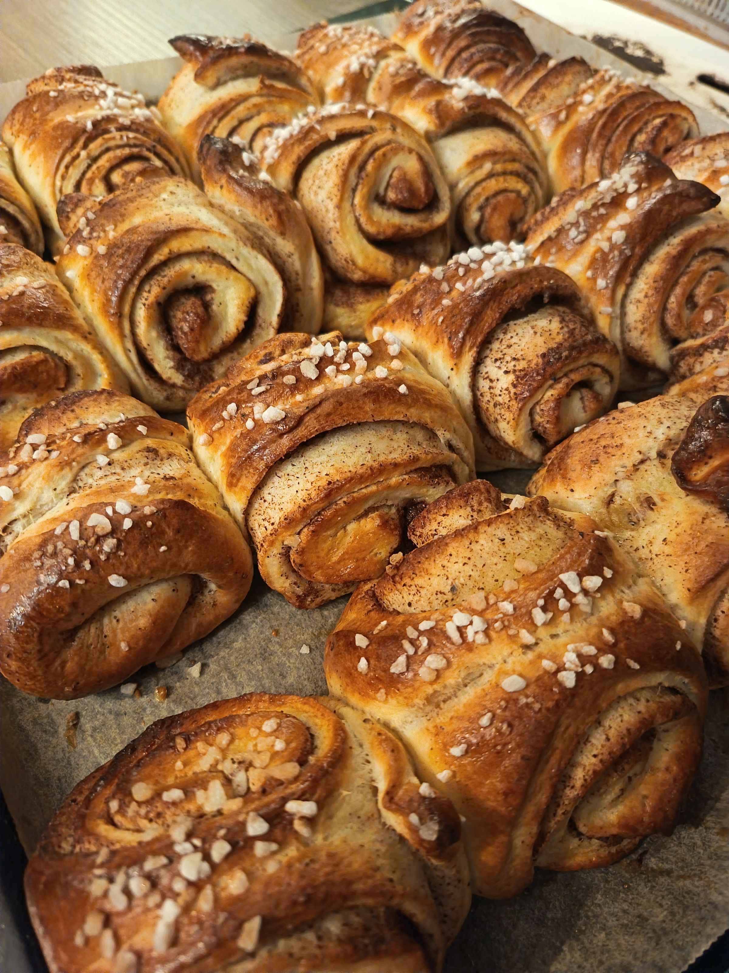 Papu & Pruuvi's image