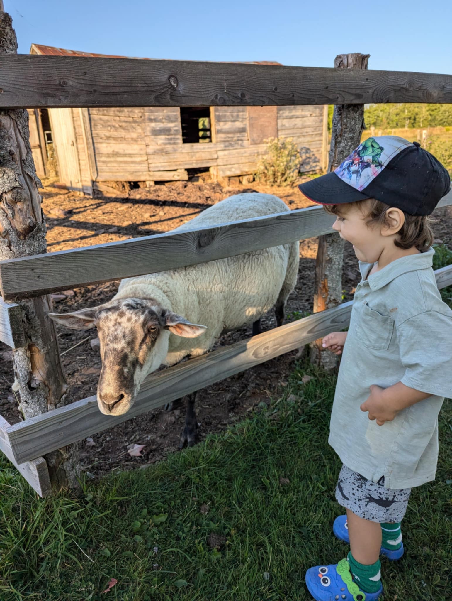 FORGET ME NOT HEALING BARN's image