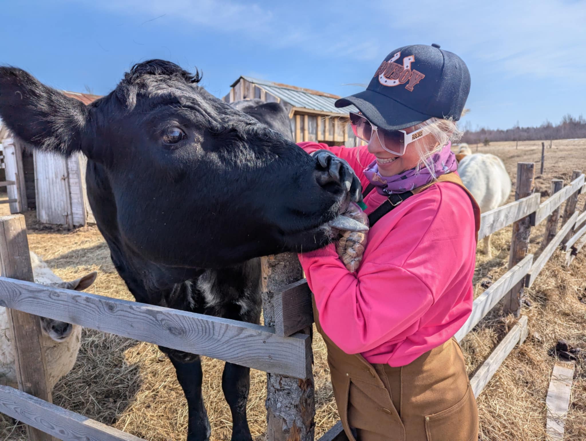 FORGET ME NOT HEALING BARN's image