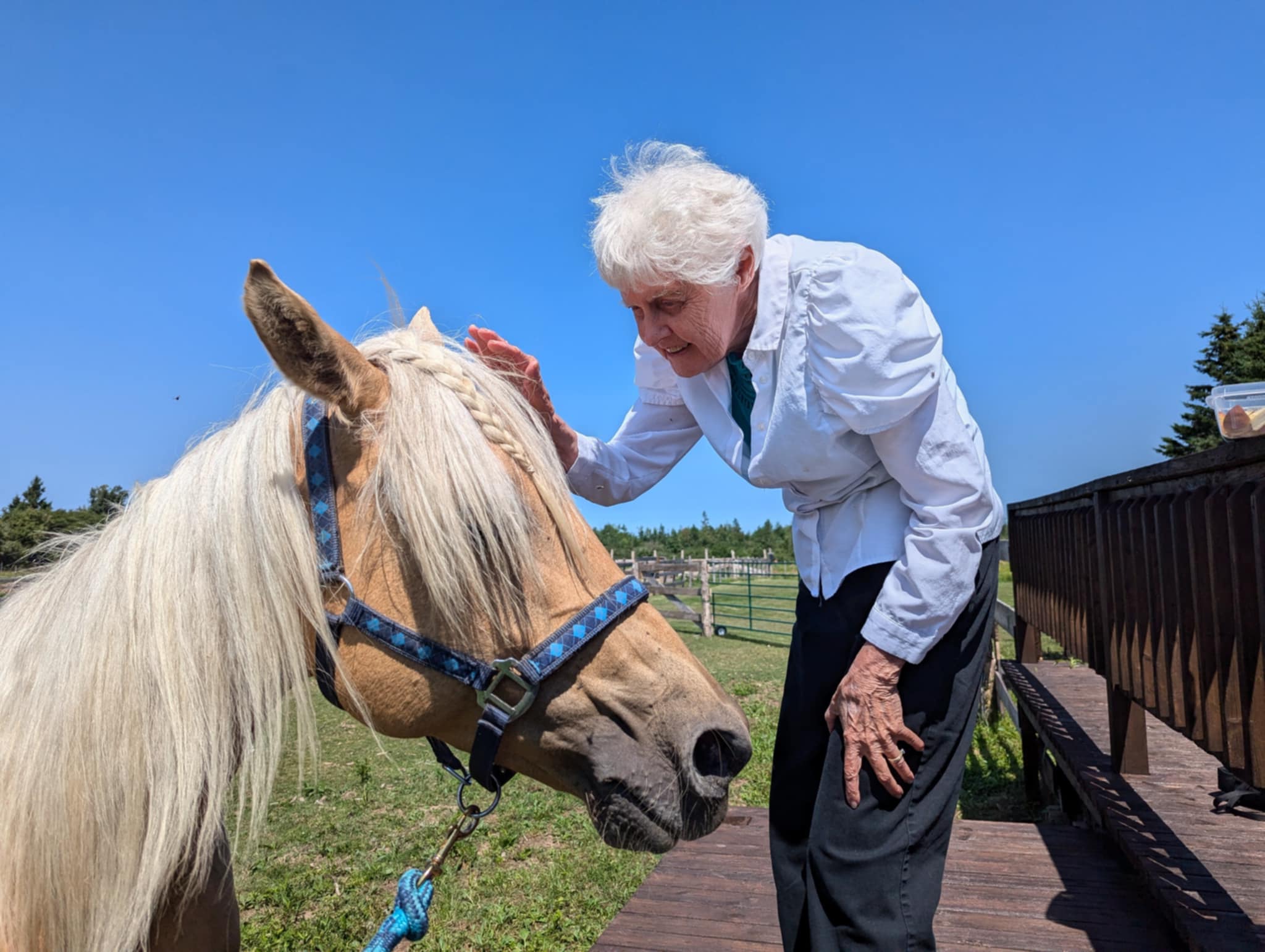FORGET ME NOT HEALING BARN's image