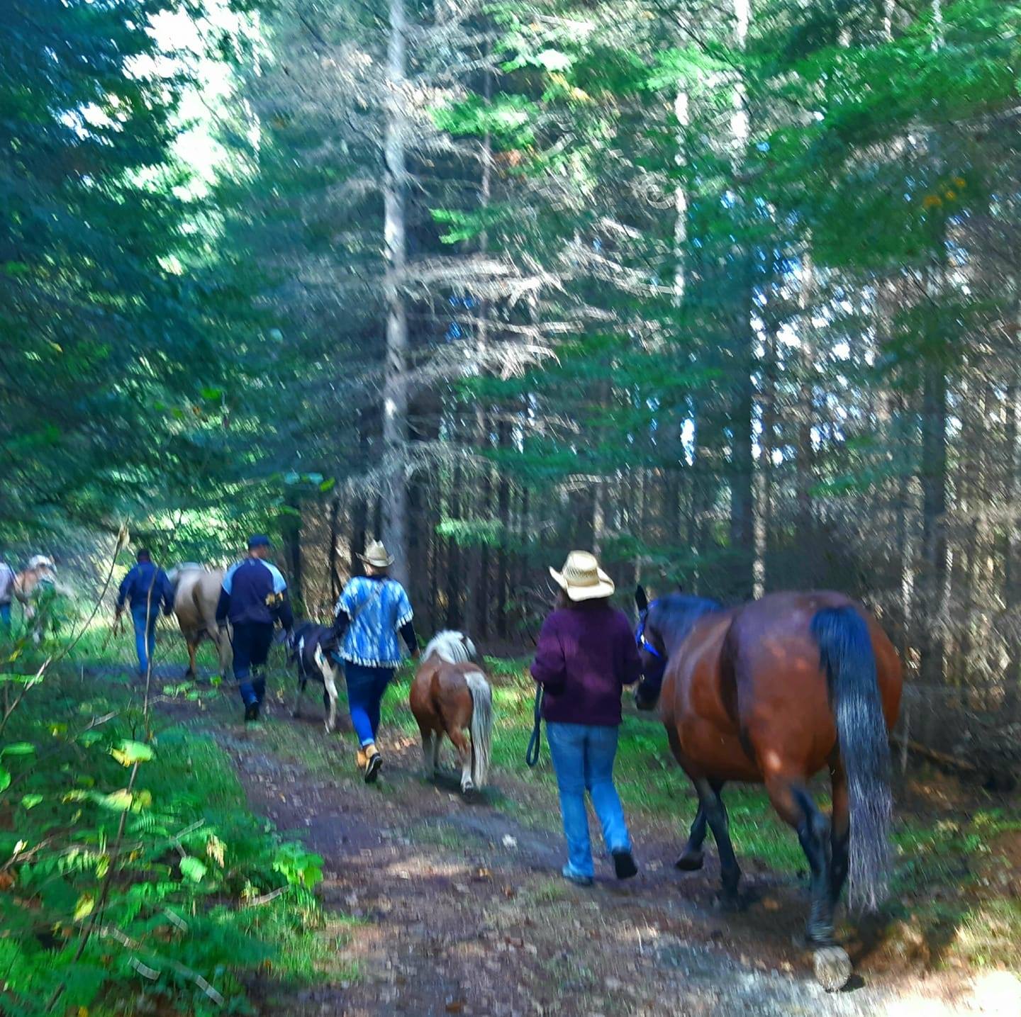FORGET ME NOT HEALING BARN's image