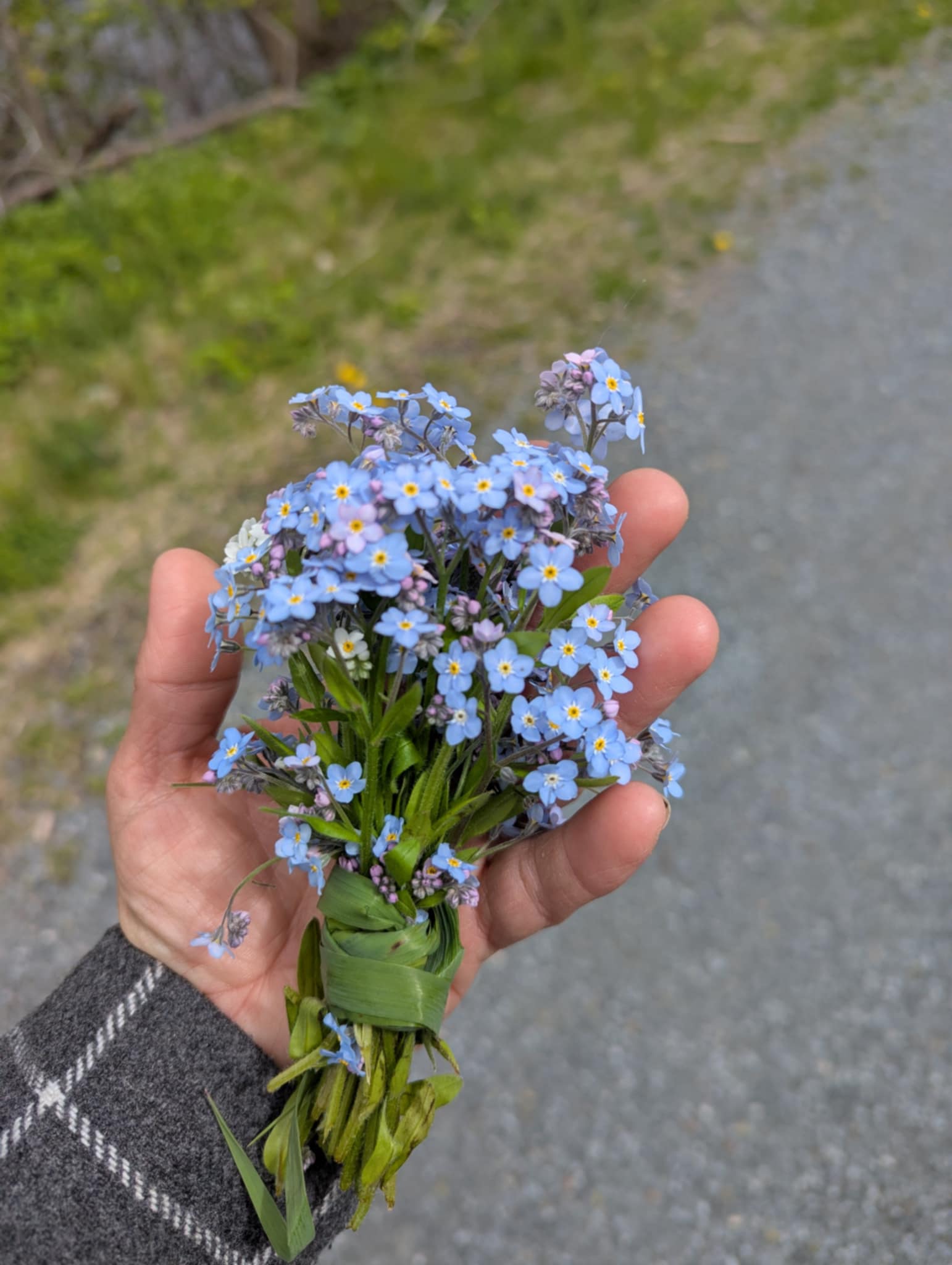 FORGET ME NOT HEALING BARN's image