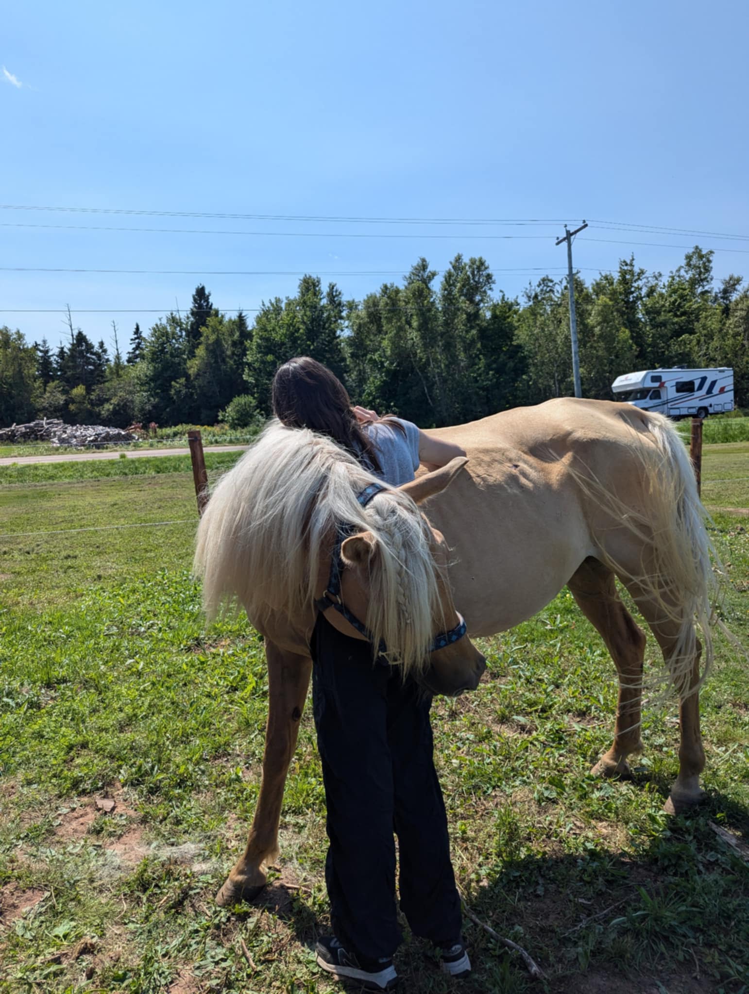 FORGET ME NOT HEALING BARN's image