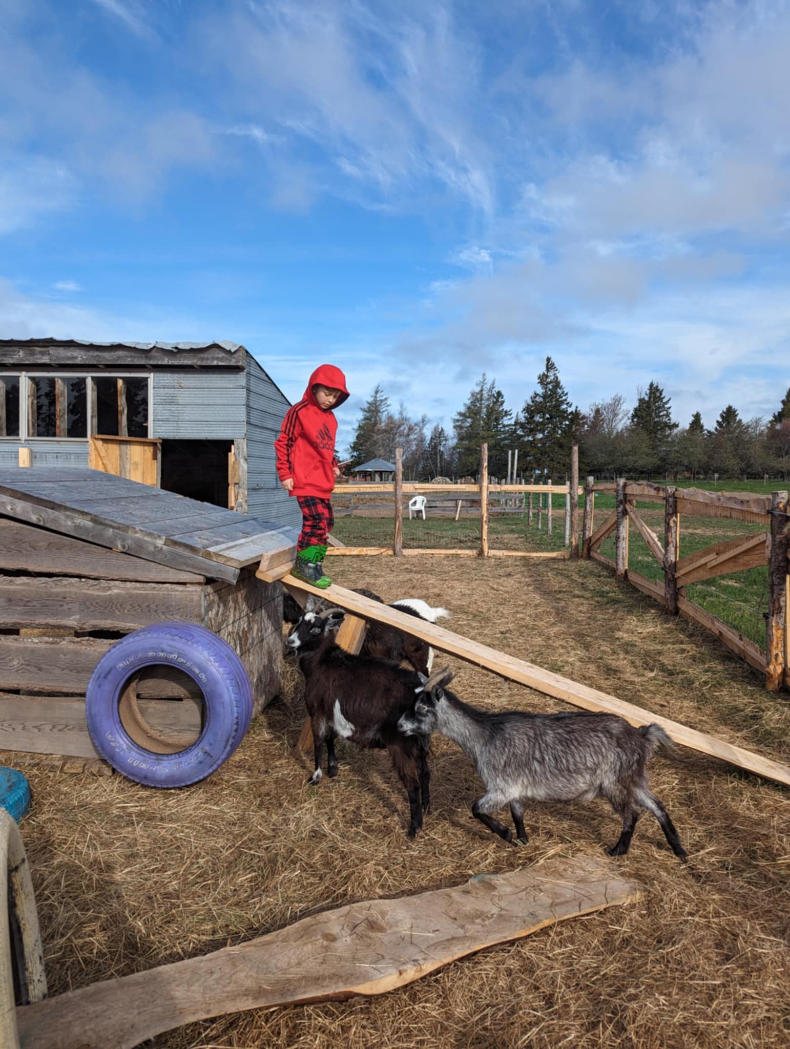 FORGET ME NOT HEALING BARN's image