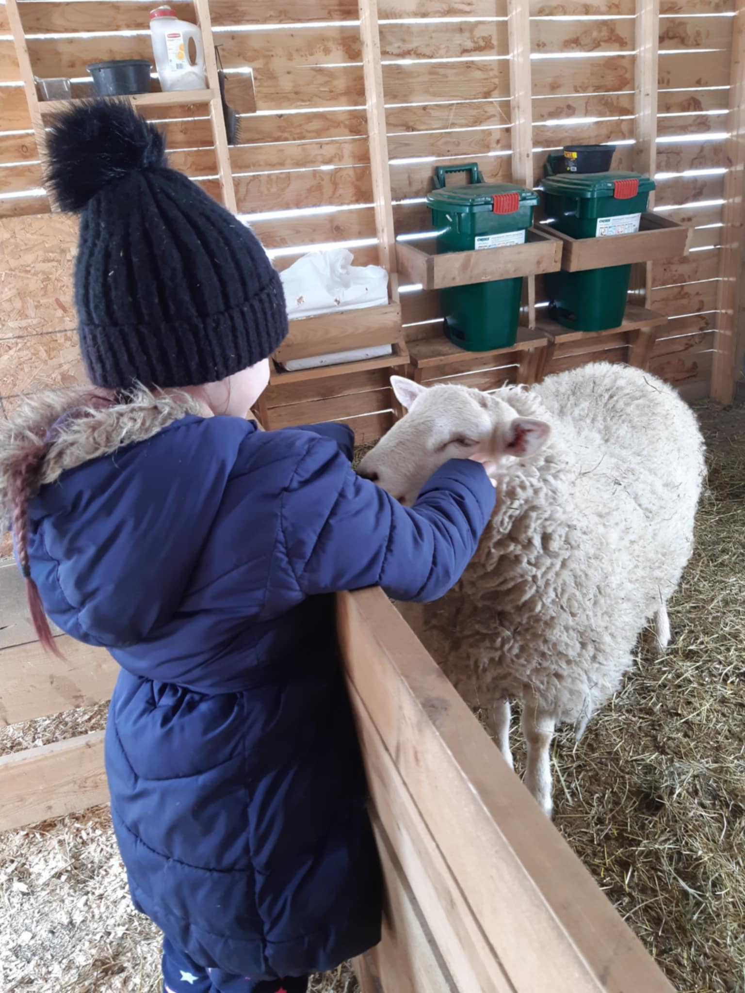 FORGET ME NOT HEALING BARN's image