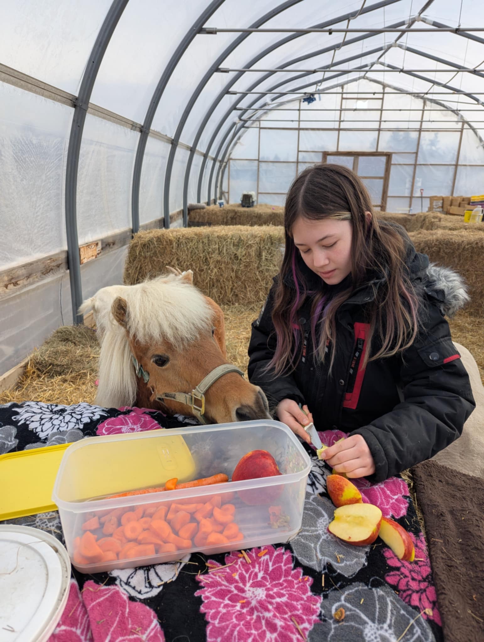 FORGET ME NOT HEALING BARN's image