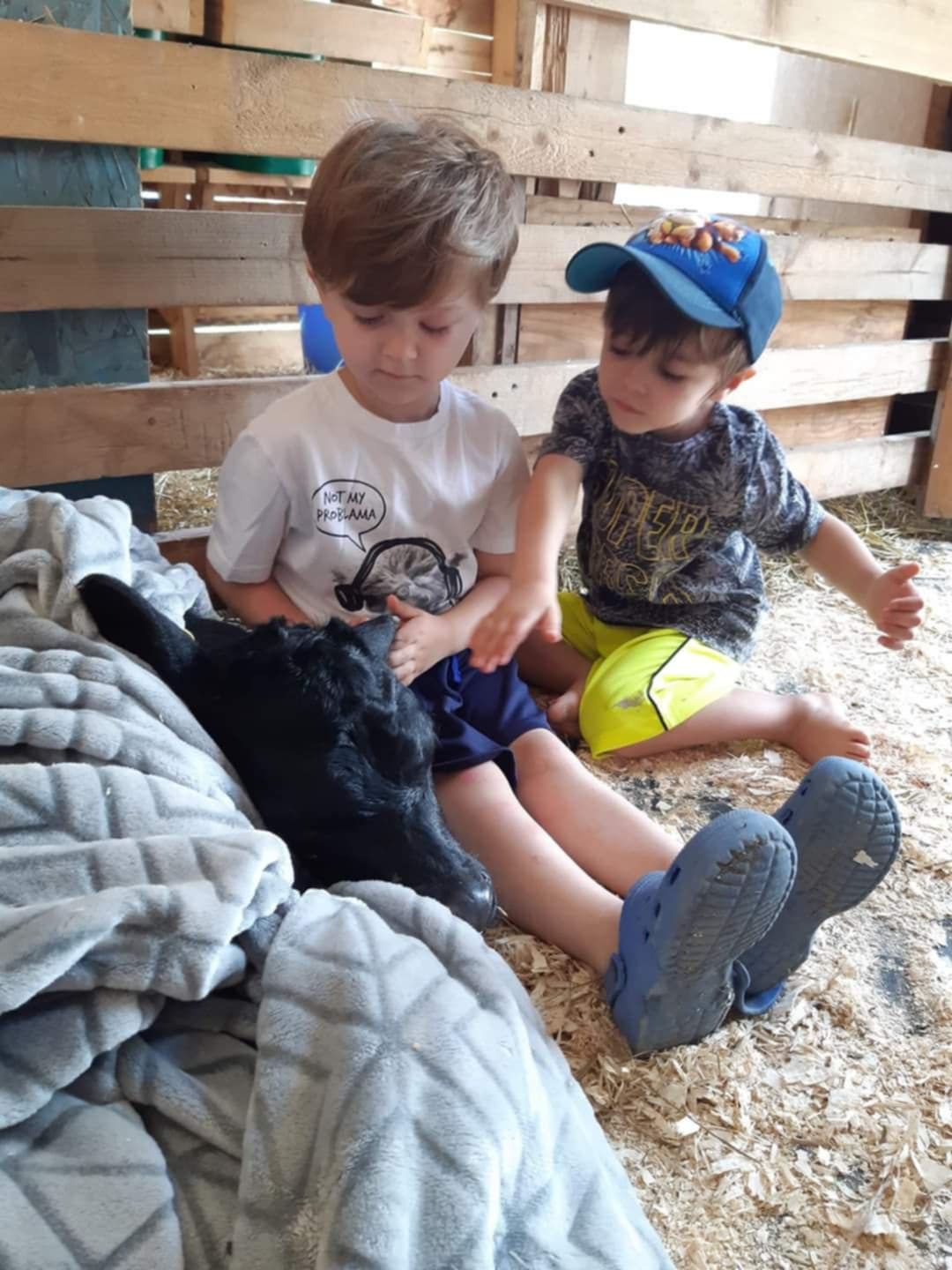 FORGET ME NOT HEALING BARN's image