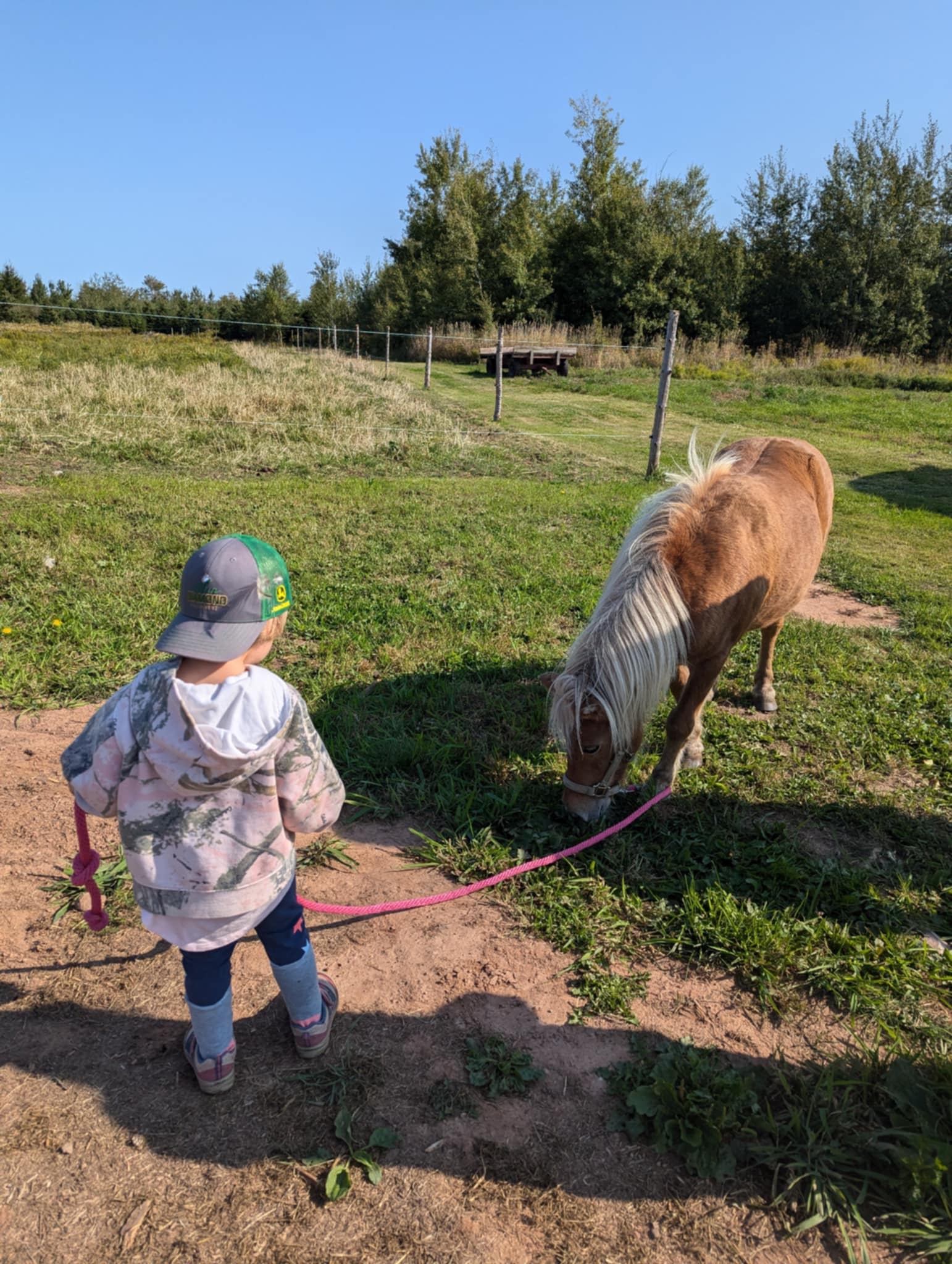 FORGET ME NOT HEALING BARN's image