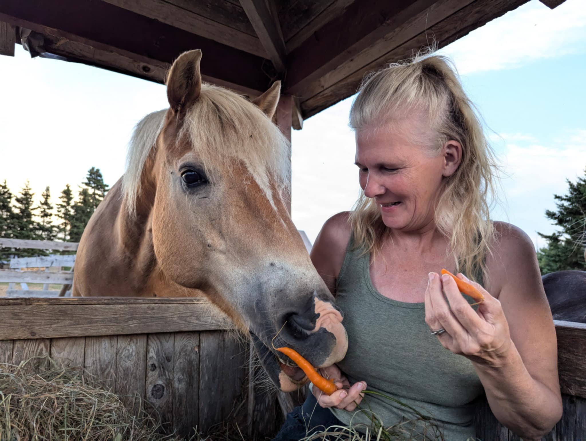 FORGET ME NOT HEALING BARN's image