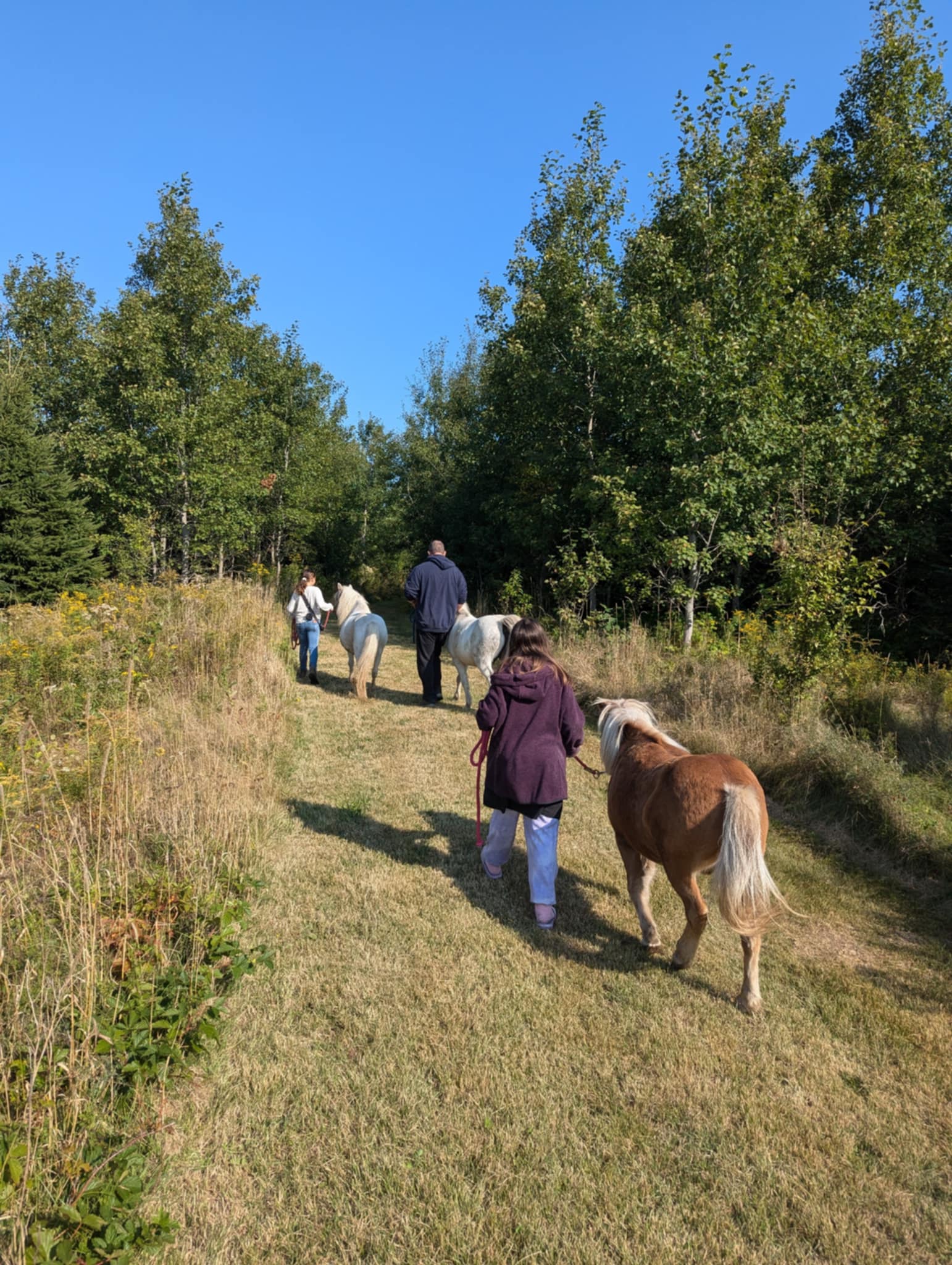 FORGET ME NOT HEALING BARN's image