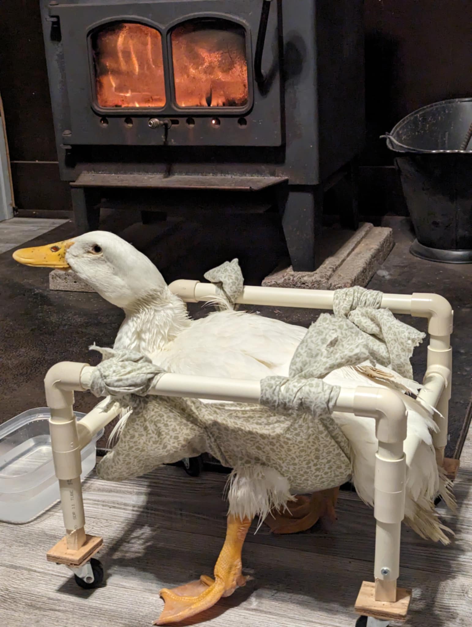 FORGET ME NOT HEALING BARN's image