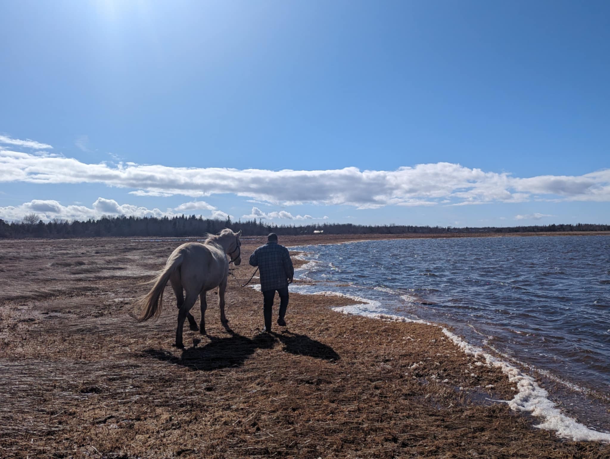 FORGET ME NOT HEALING BARN's image
