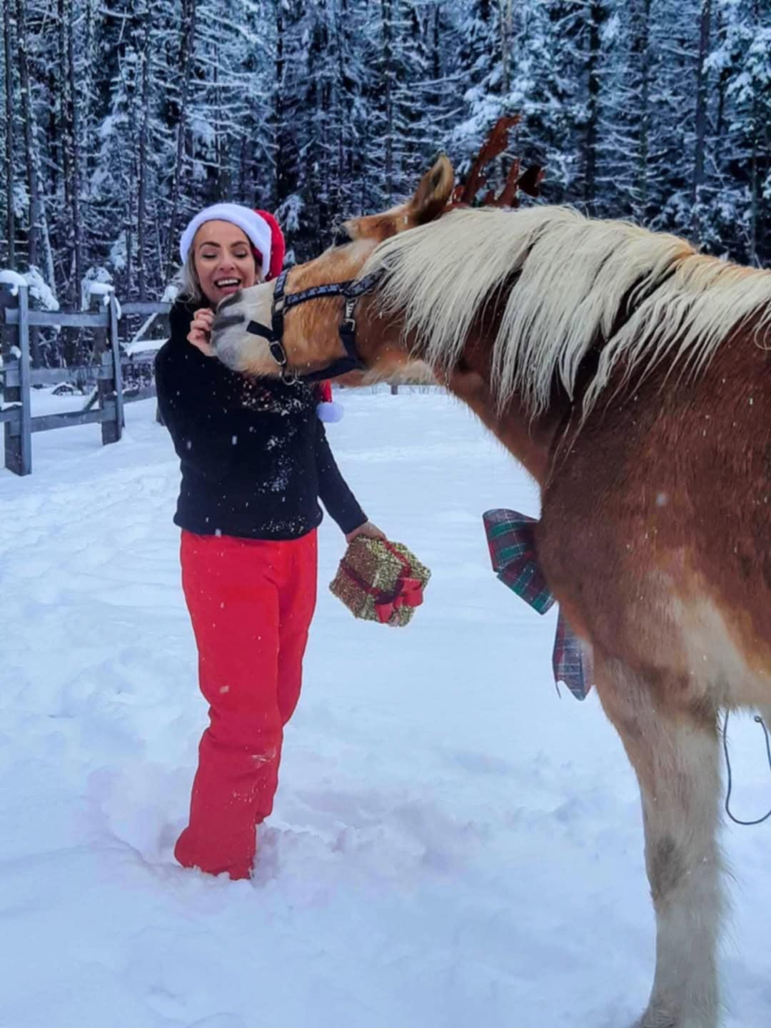 FORGET ME NOT HEALING BARN's image