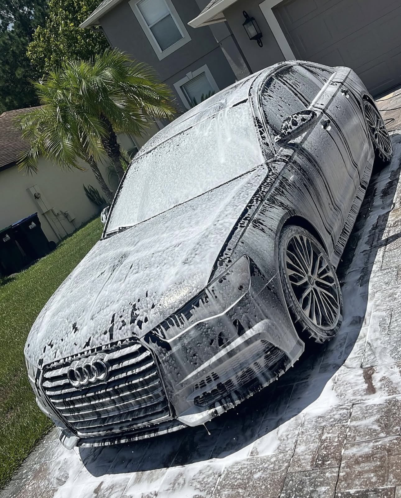 Mighty detail's image
